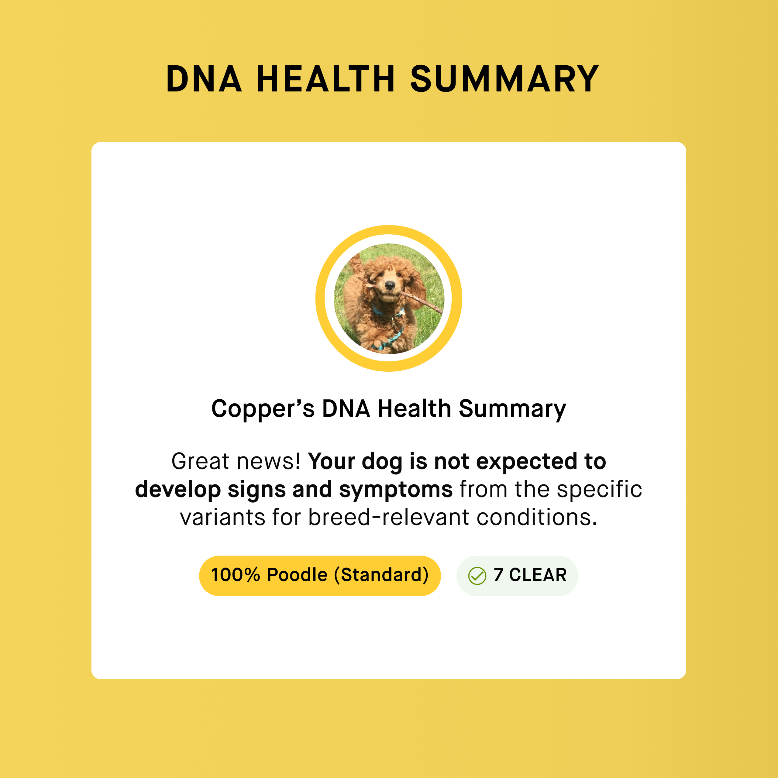Breeder-DNAHealthSummary-Text.png